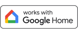 Google Assistant